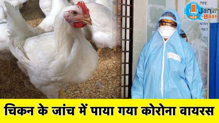 चिकन खाने से कोरोना