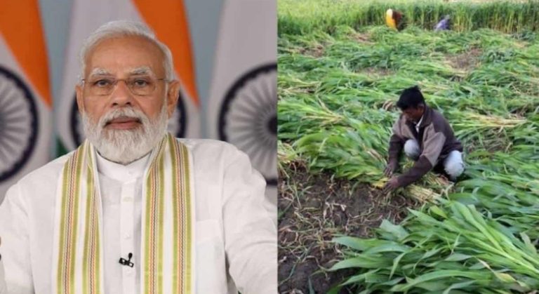 दिवाली से पहले मोदी सरकार ने किसानों को दी बड़ी राहत, रबी सीजन के लिए फास्फेट व पोटाशयुक्त उर्वरकों पर 22,303 करोड़ की सब्सिडी